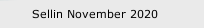 Sellin November 2020