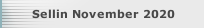 Sellin November 2020